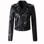 FAUX LEATHER MOTO JACKET